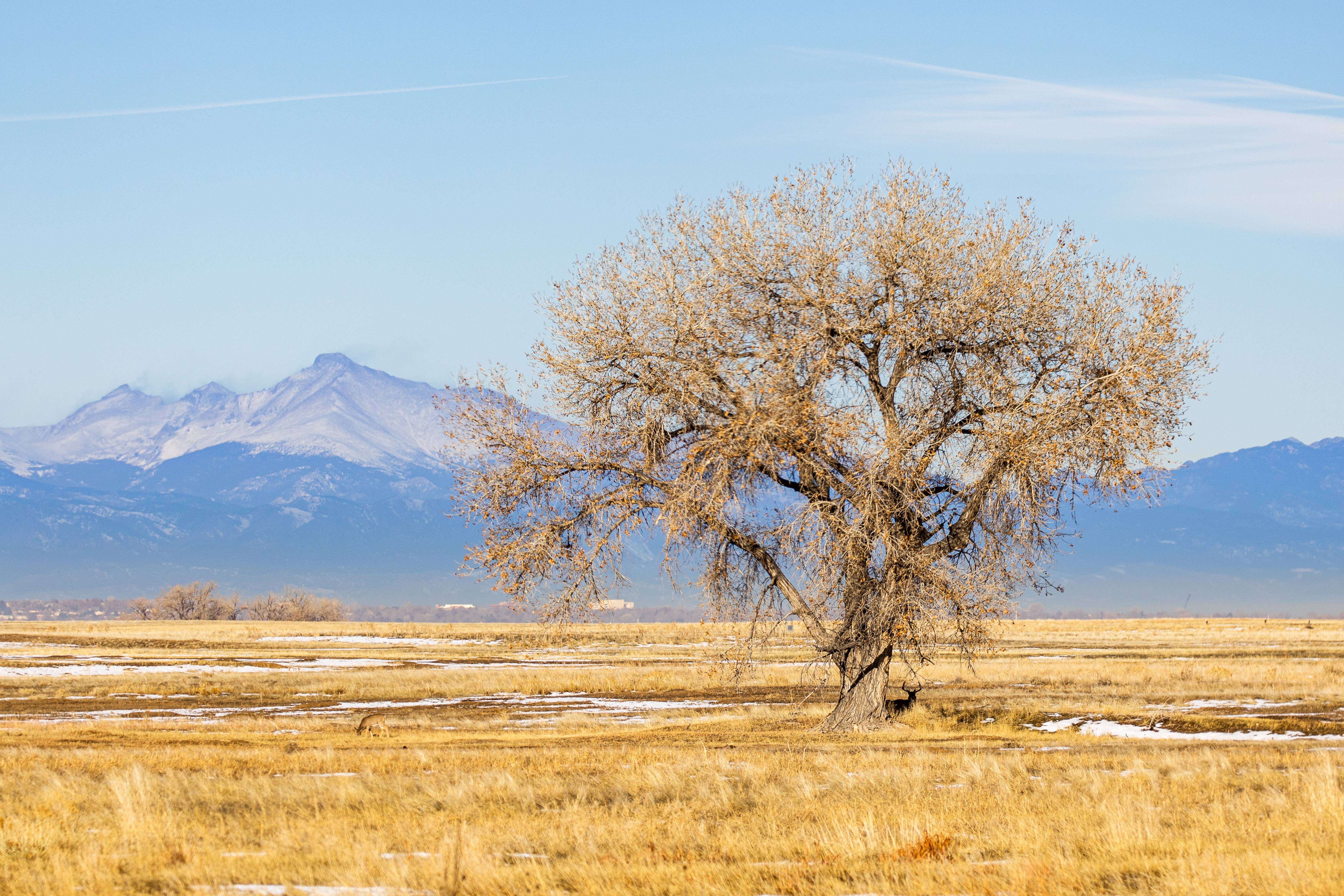 Bureau of Land Management Community Assessments in North Central Colorado