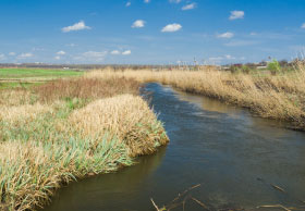 Prairie creek