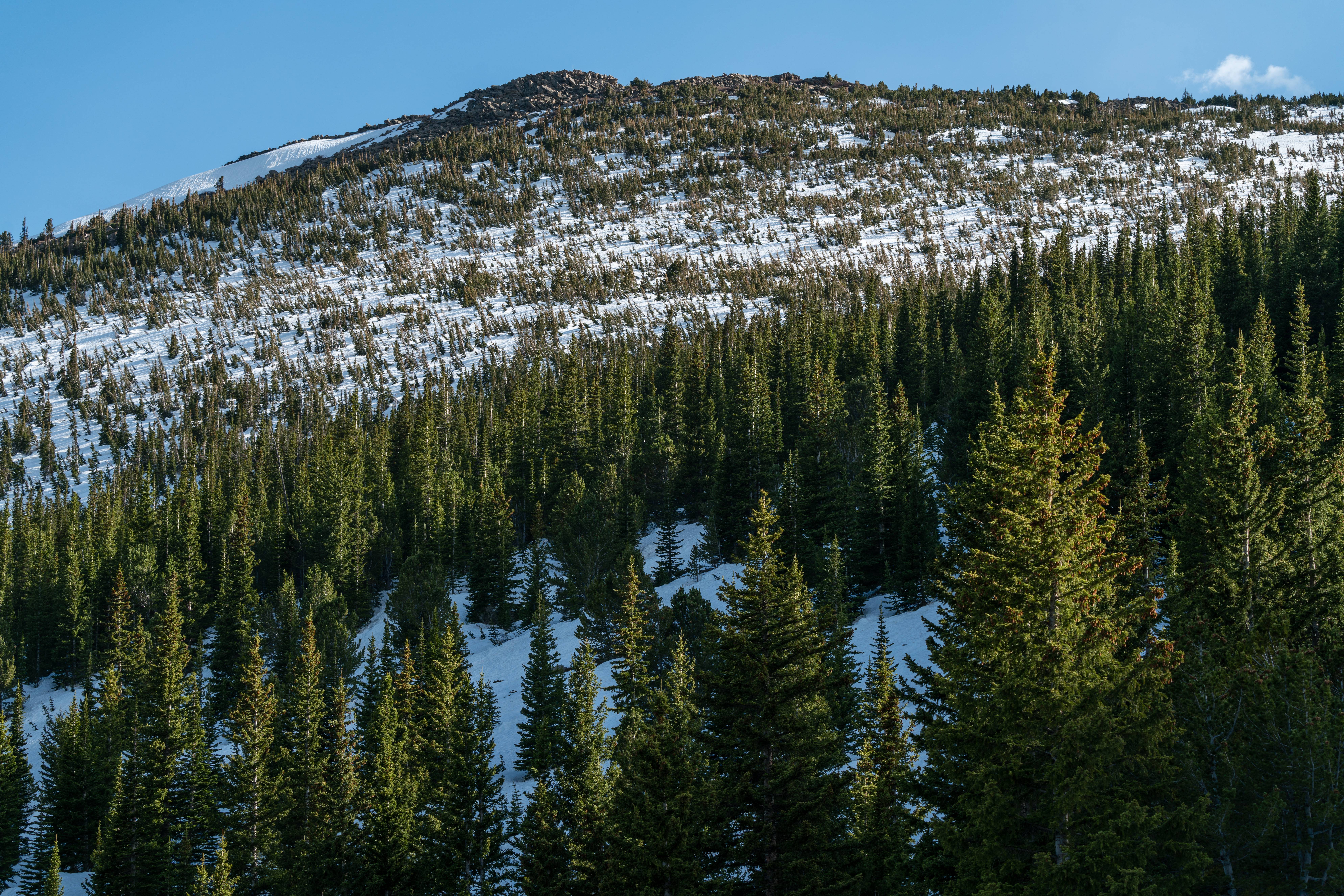 Forsythe II Multiparty Monitoring Group