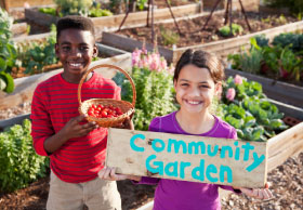 Community garden