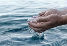 Hands holding a cup of water