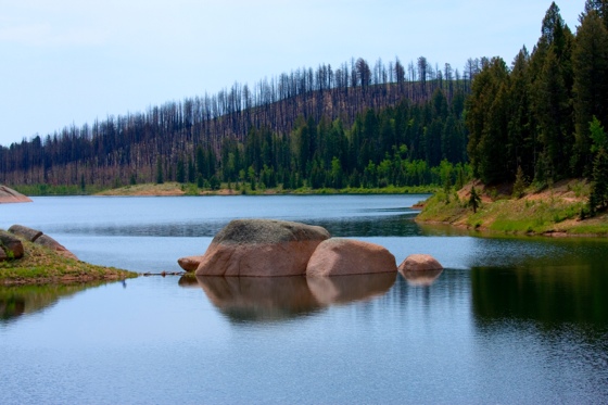 Lake and forest