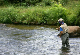 Fly fisherman in river